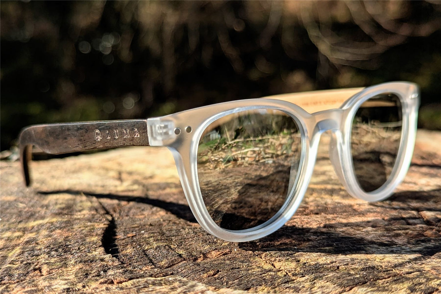 Luma Sunglasses - Holywell - Clear - Luma Eyewear