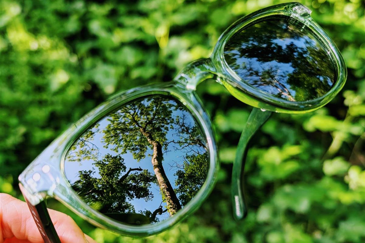 Luma Sunglasses - Holywell - Green - Luma Eyewear