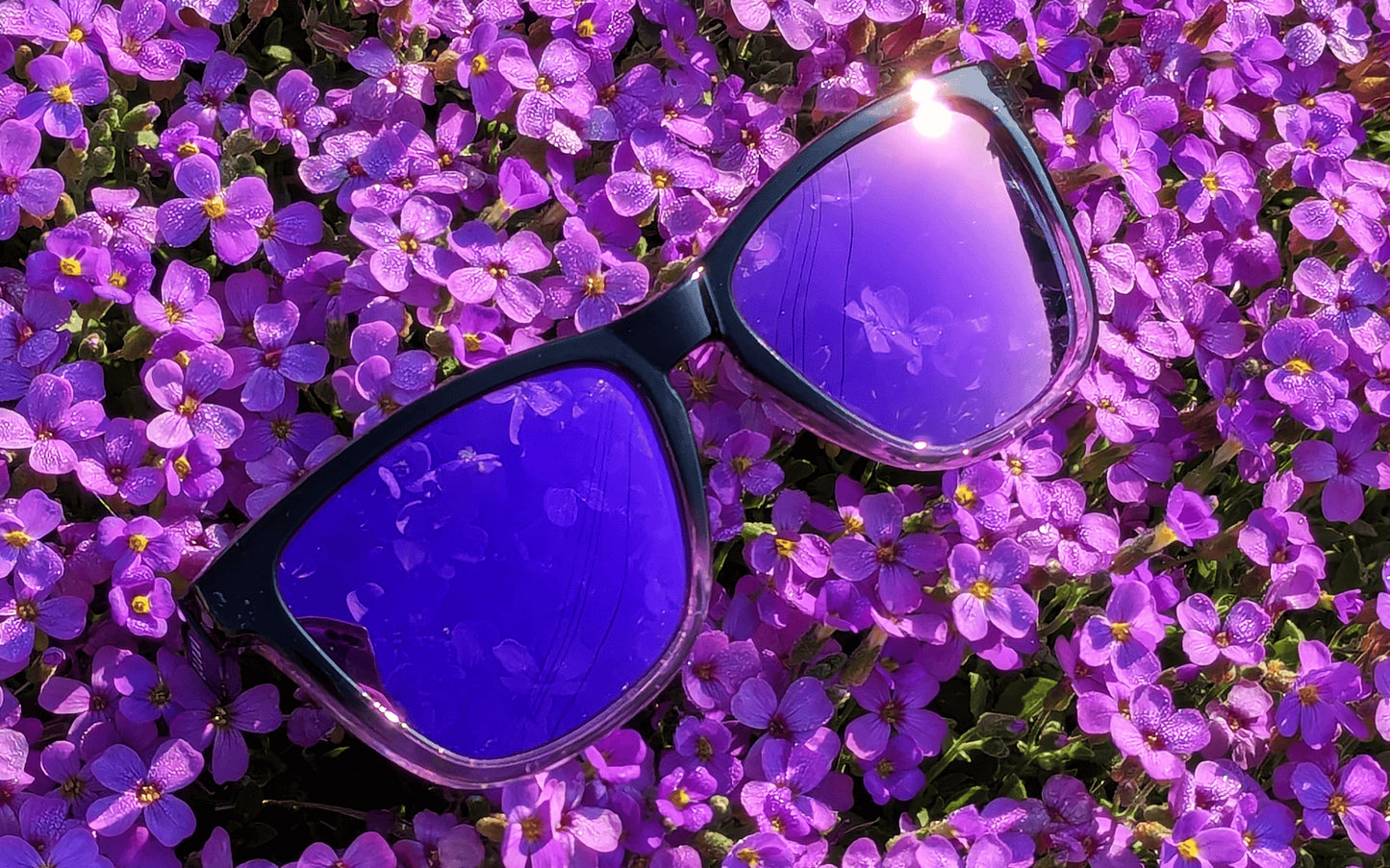 Luma Sunglasses - Harlyn - Purple - Luma Eyewear