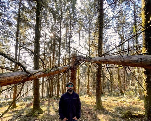devon woodland and man standing