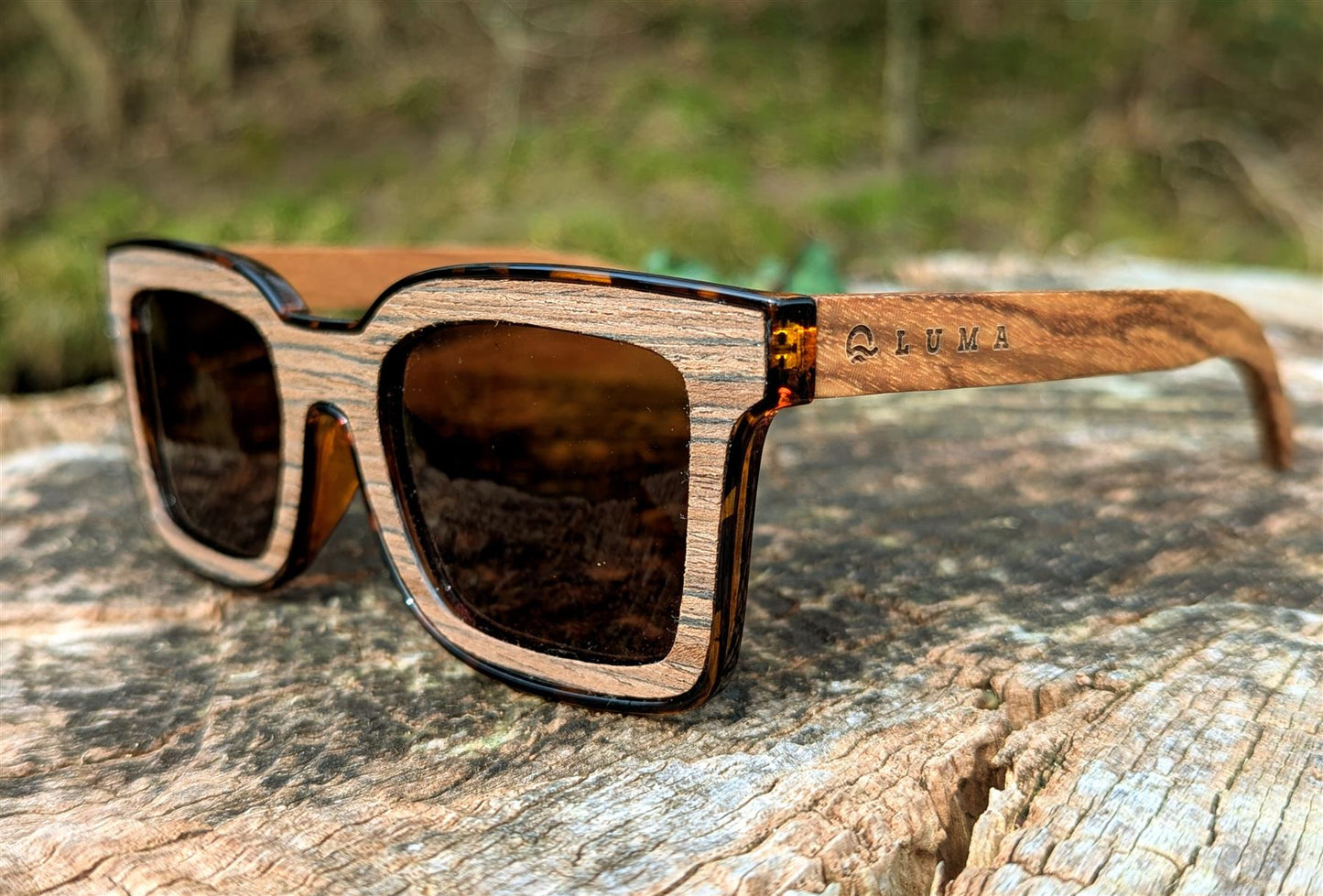 Luma Polzeath sunglasses in wood on tree stump