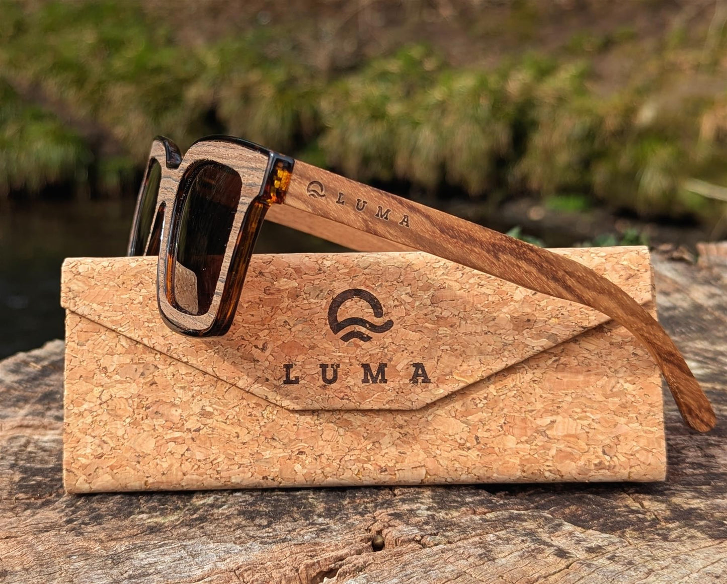 Luma Polzeath sunglasses in wood on tree stump with case