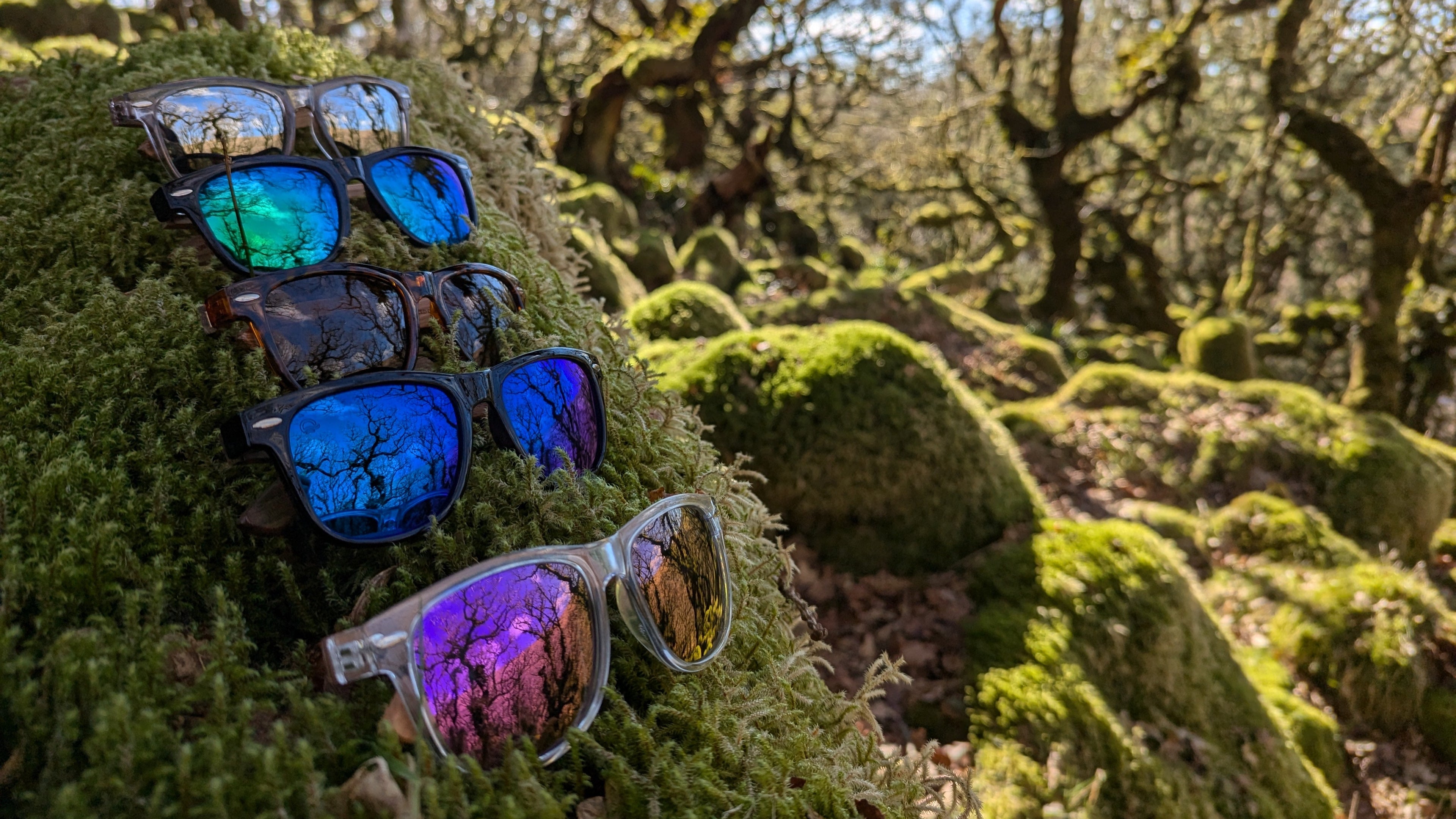 sunglasses on moss at wistmans wood devon