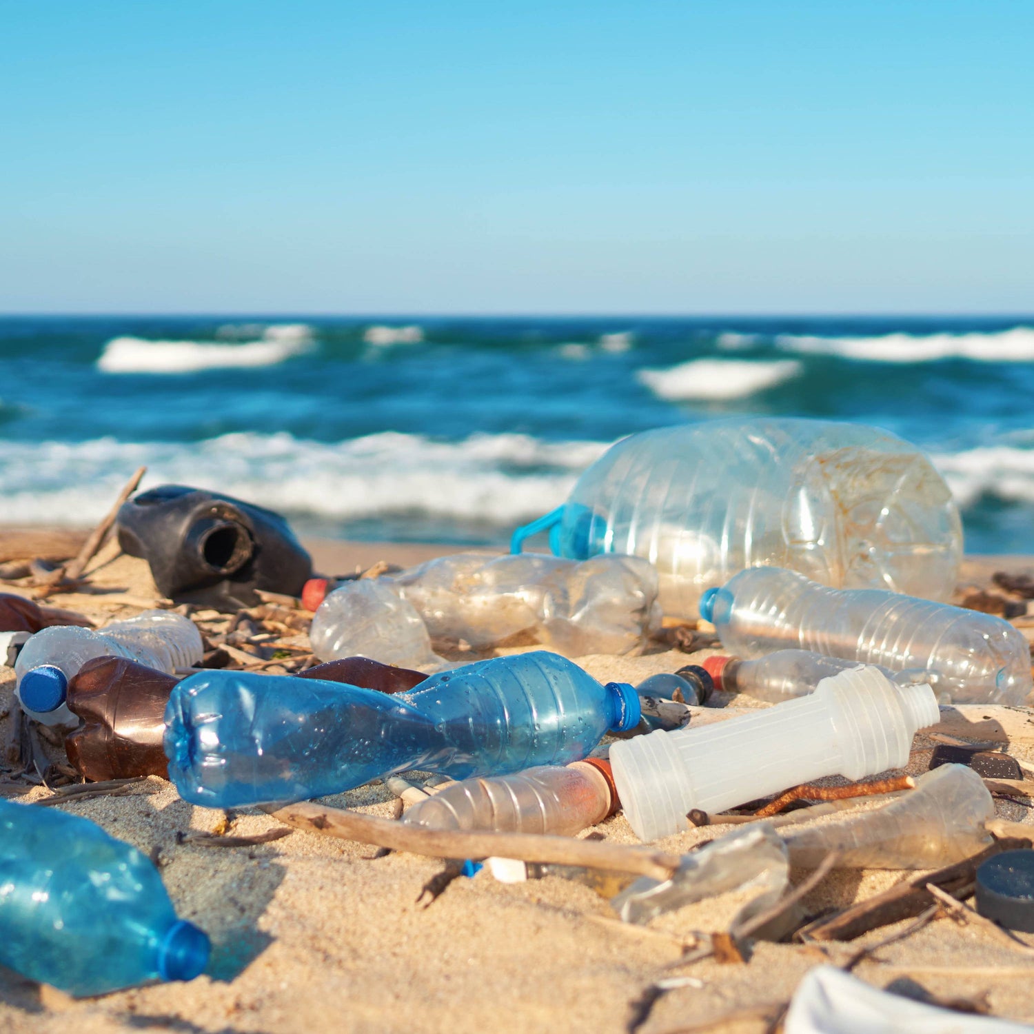 beach littered with sea plastic