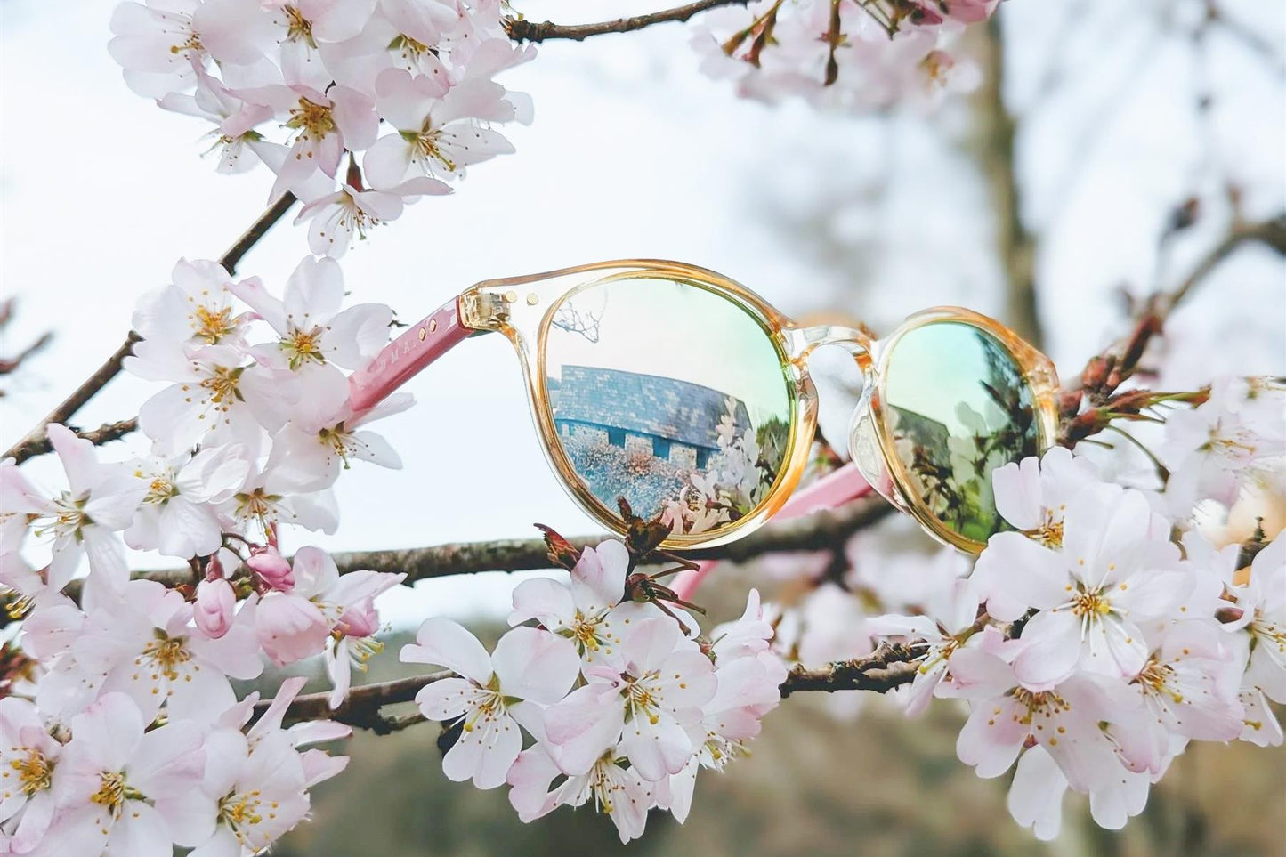 Luma Sunglasses - Fowey - Pink - Luma Eyewear