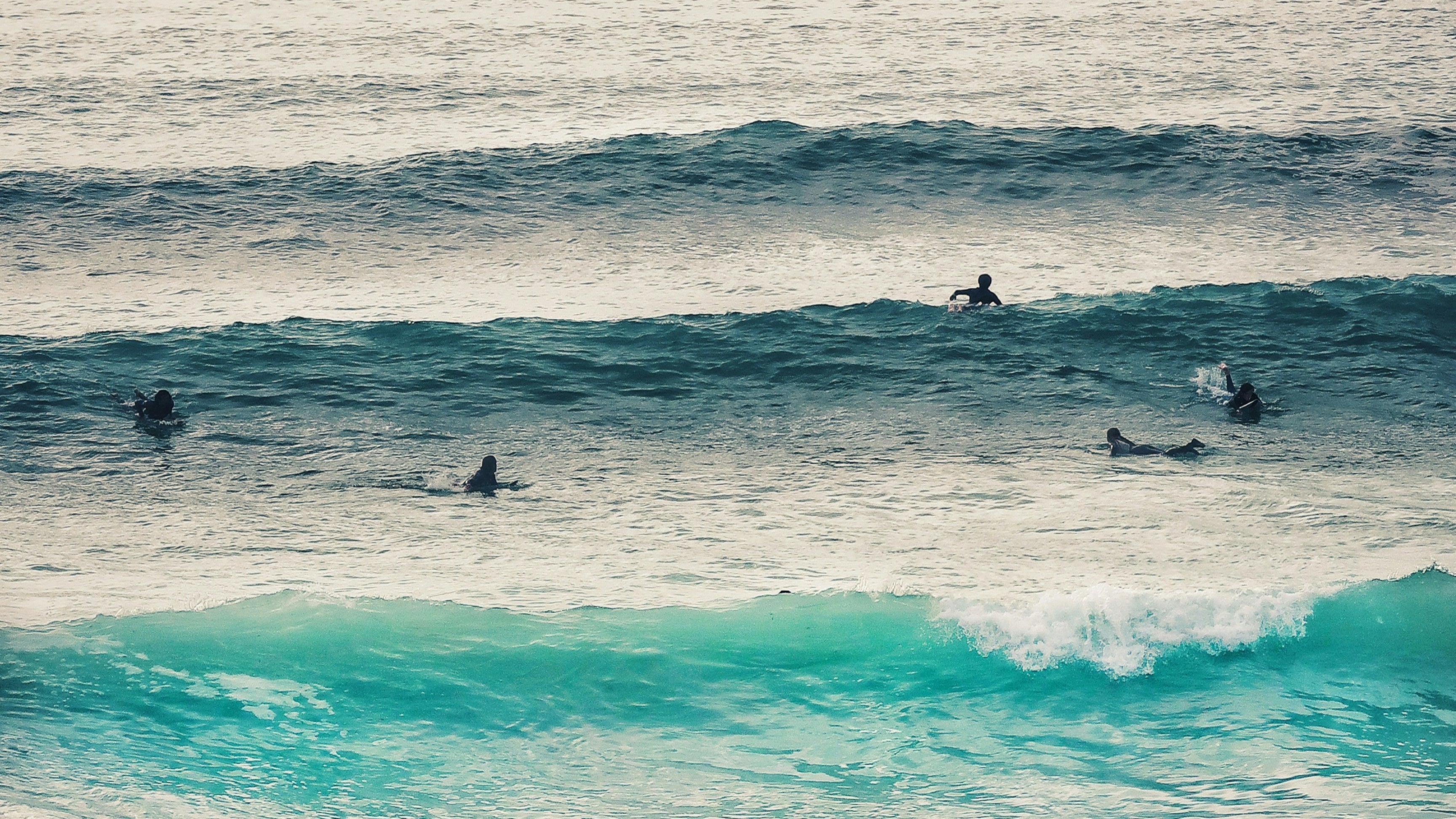 Fistral beach surfers in sea