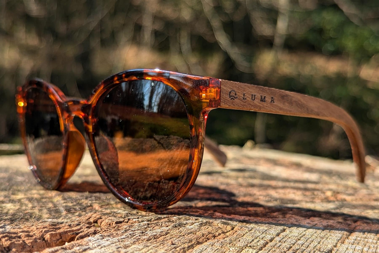 Luma Sunglasses - Tarka - Tortoise