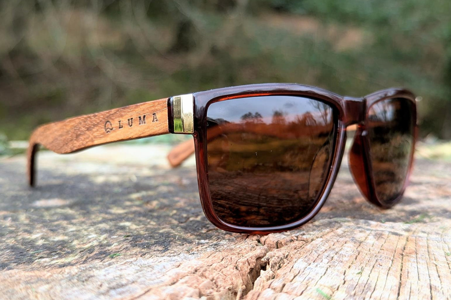 Luma Sunglasses - Fistral - Amber