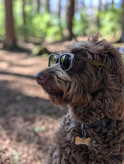 Luma Sunglasses - Lydford - Black - Luma Eyewear
