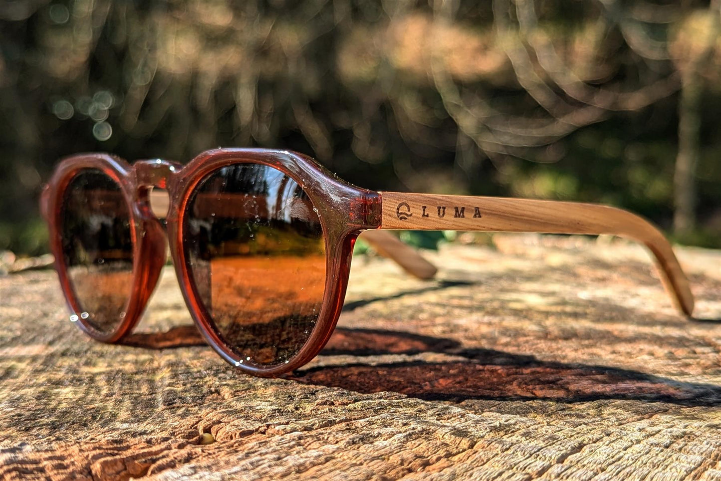 Luma Sunglasses - Clovelly - Amber