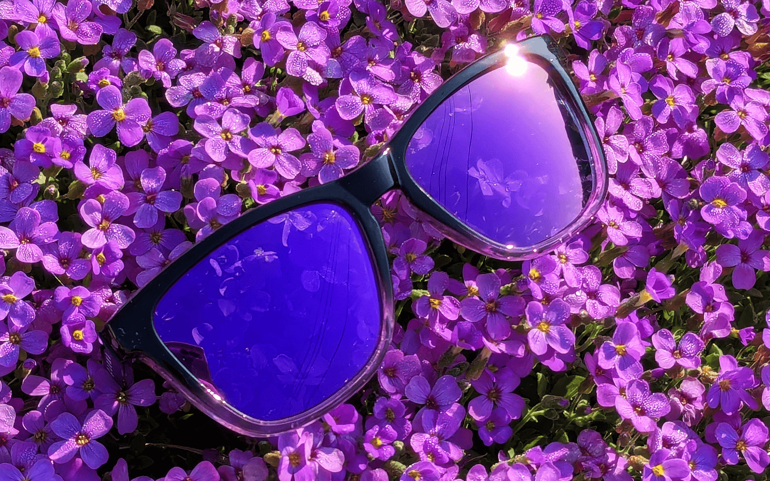 Luma Sunglasses - Harlyn - Purple - Luma Eyewear