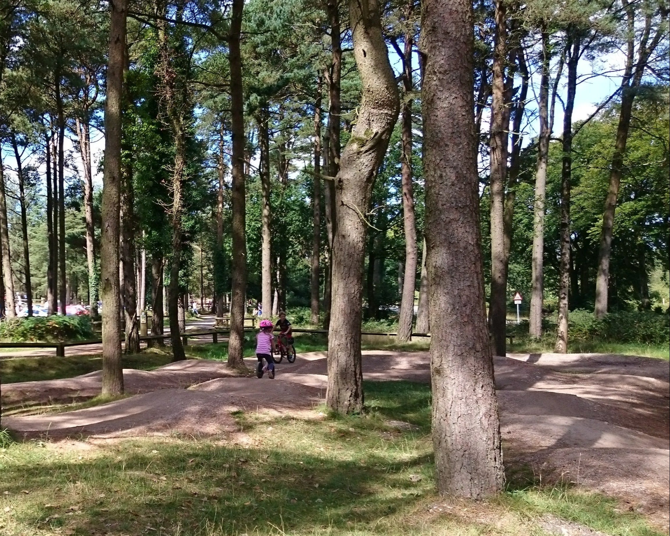 Haldon forest pump track devon