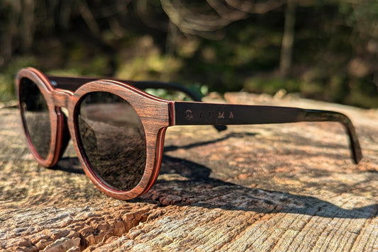 Luma Sunglasses - Haywood - Black