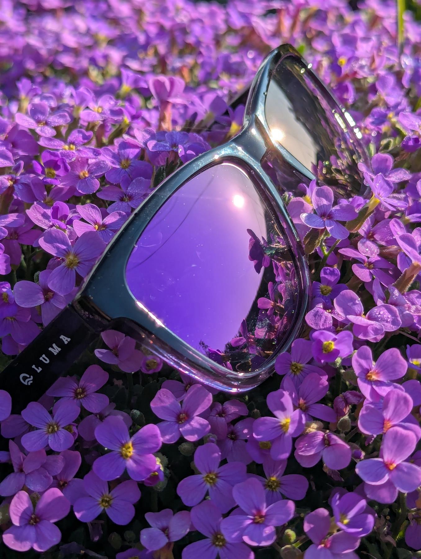 Luma Sunglasses - Harlyn - Purple - Luma Eyewear
